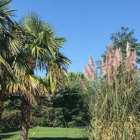 Casa Campo Istanbul